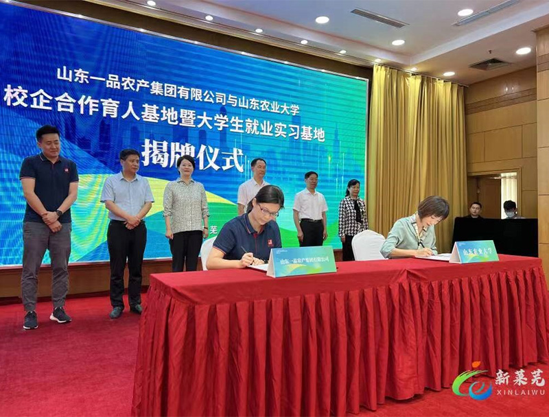 Cooperazione Collegio-Impresa